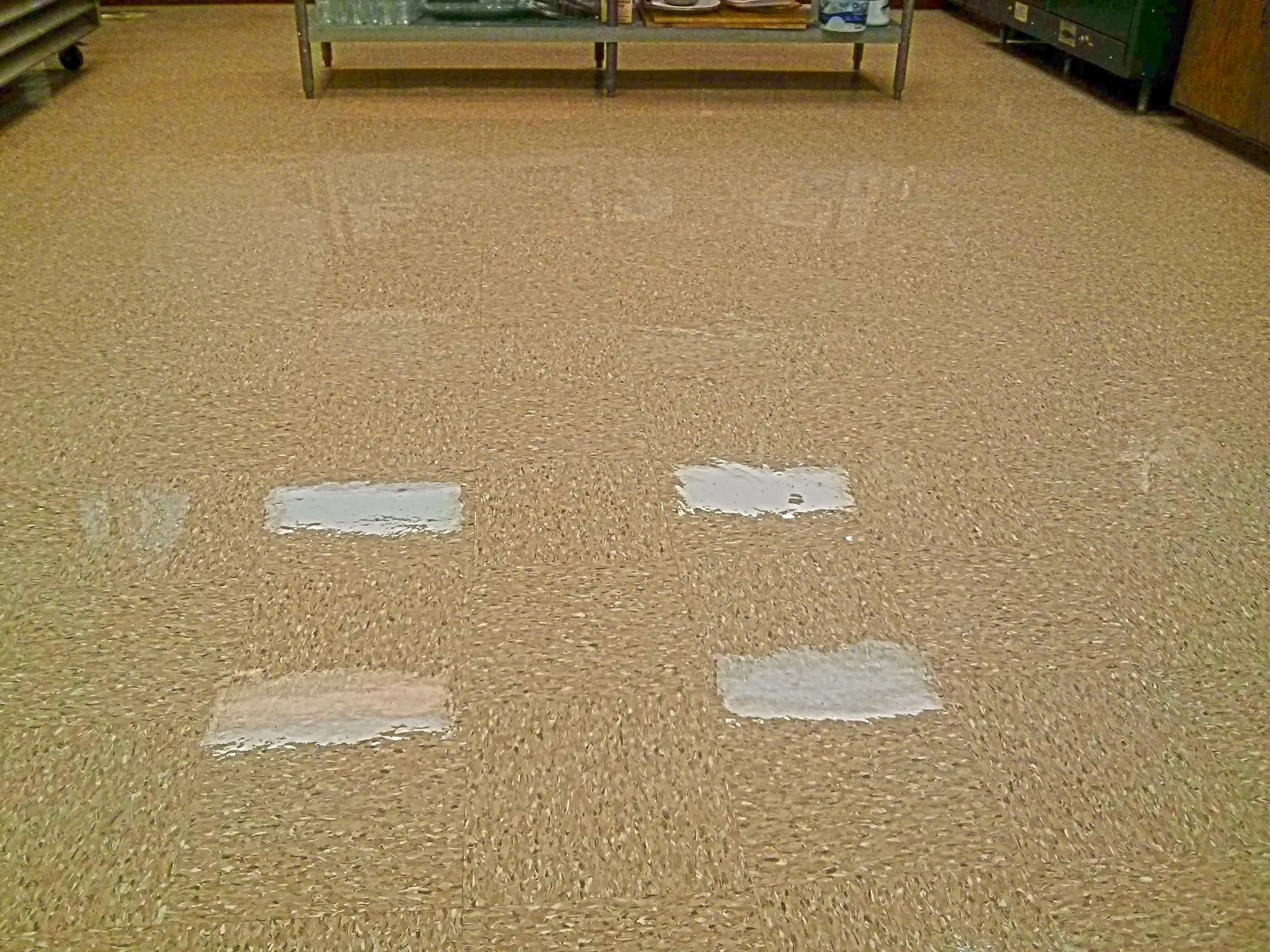 vct-floors-clear-coating-job-in-rural-hennepin-county