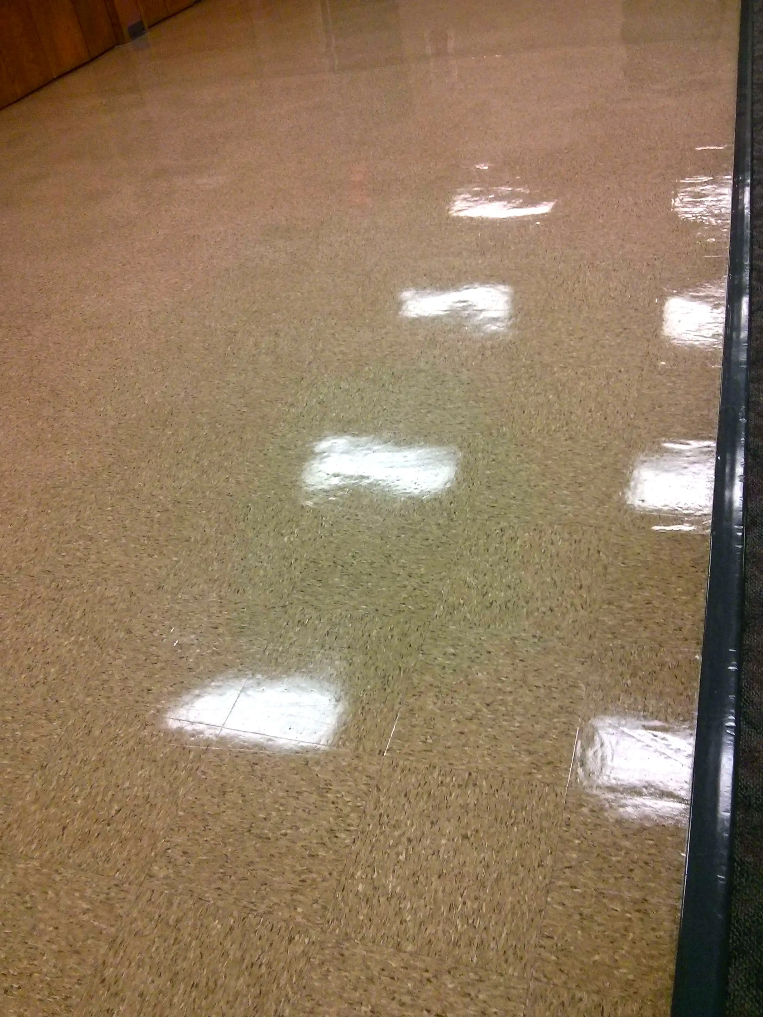 vct-floors-clear-coating-job-in-rural-hennepin-county