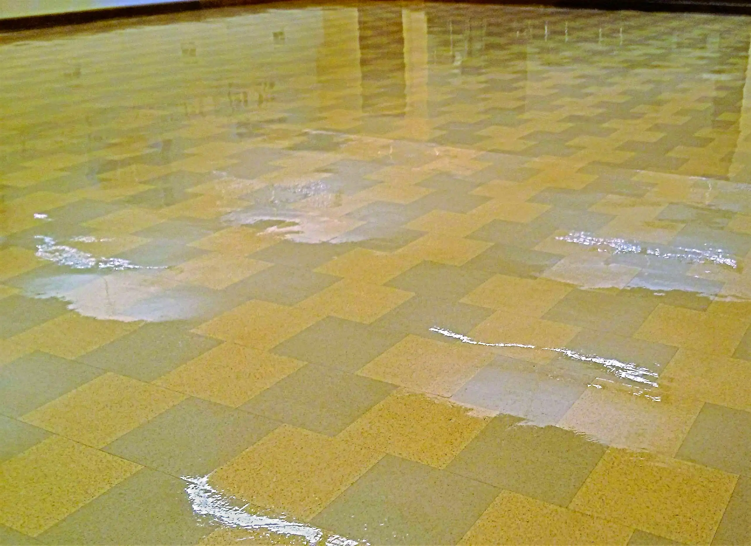 restoration-of-old-vct-floor-in-minneapolis-church