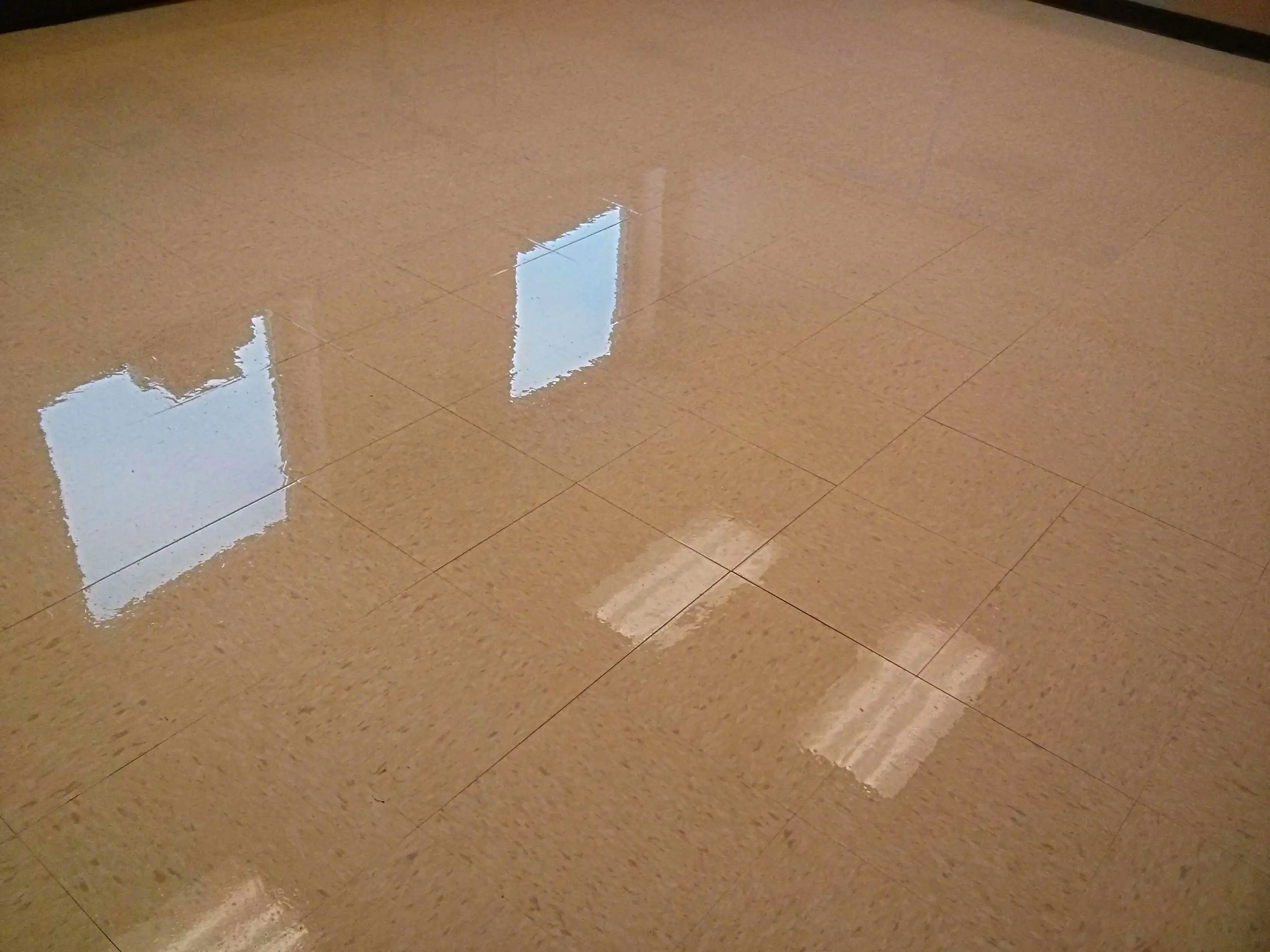 vct-floor-with-locked-up-stripper-solution-in-glencoe-mn