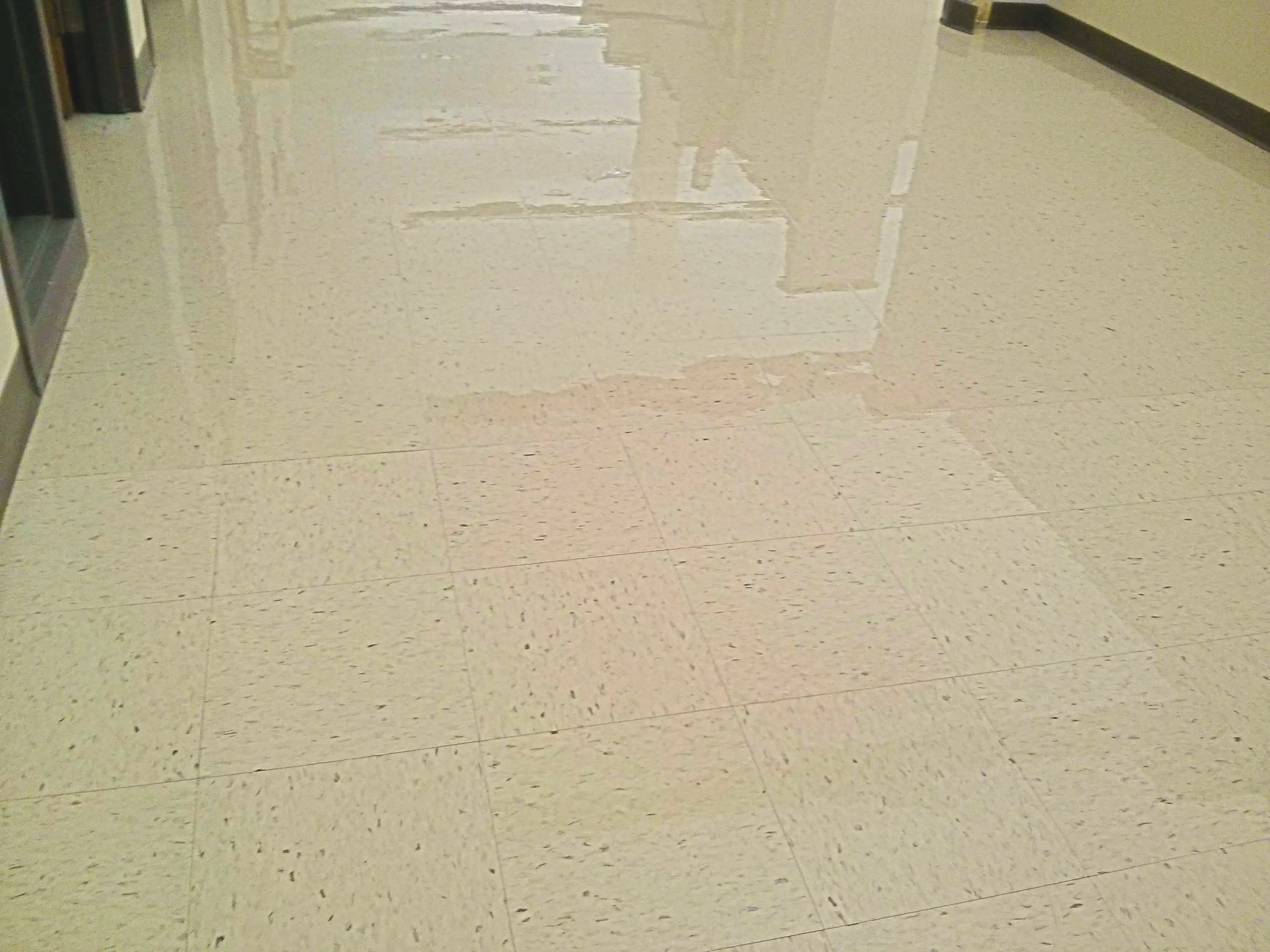 vct-floor-coatings-services-in-minneapolis-medical-manufacturing-facility