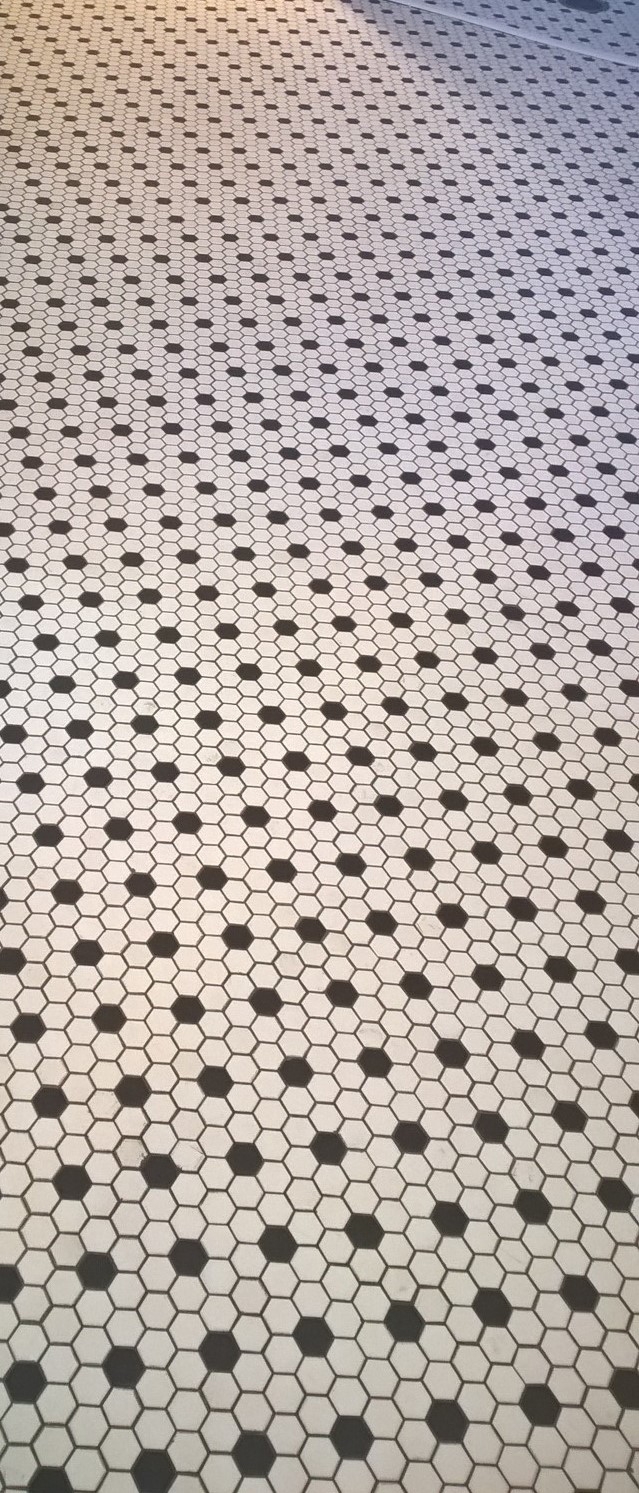 Ceramic Tile and Grout Cleaning in Minneapolis, Minnesota image 2