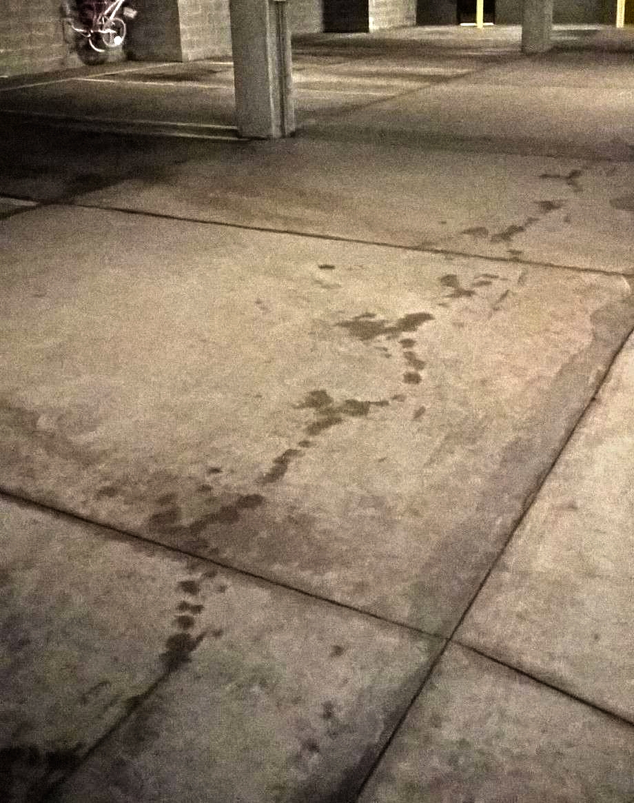 Multi-Housing Parking Garage in Saint Paul, Minnesota image 3