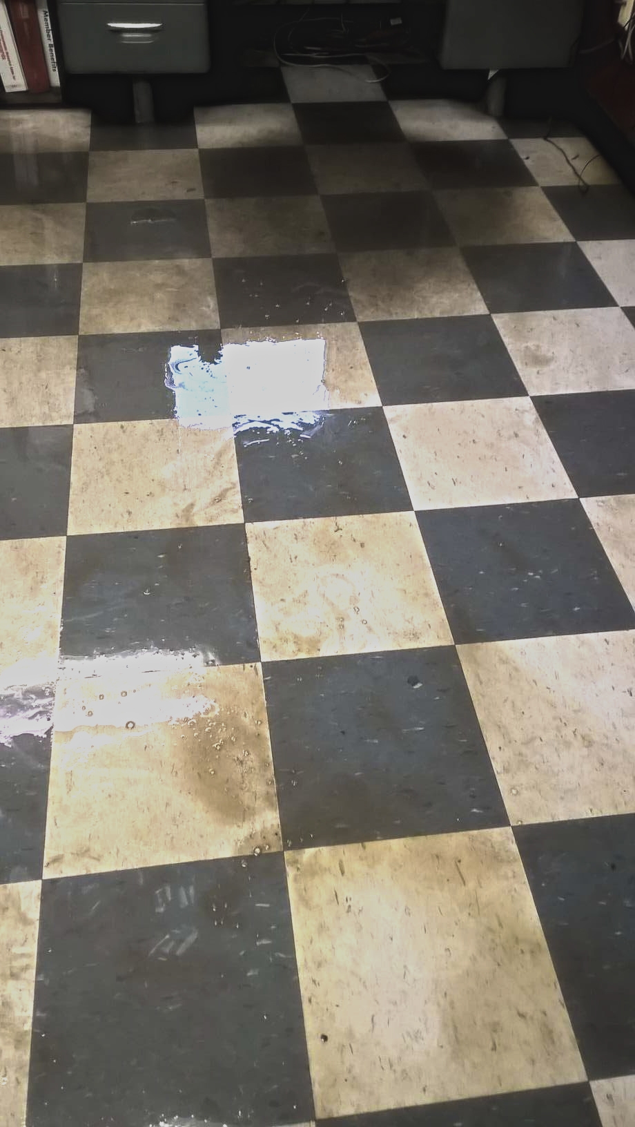 Old VCT Floor Restoration Job in Chanhassen image 11