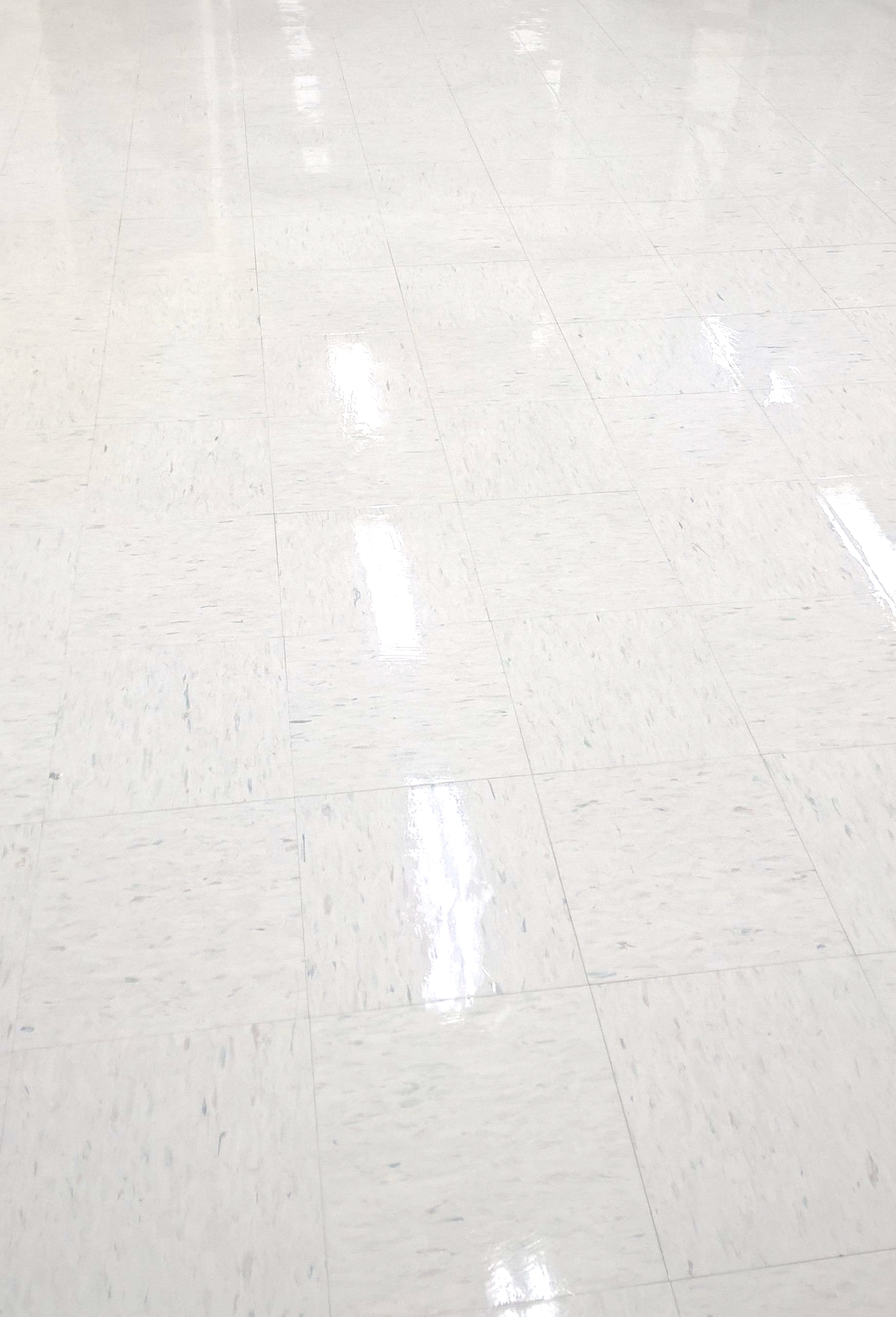 Old VCT Floor Restoration Job in Edina, MN image 3