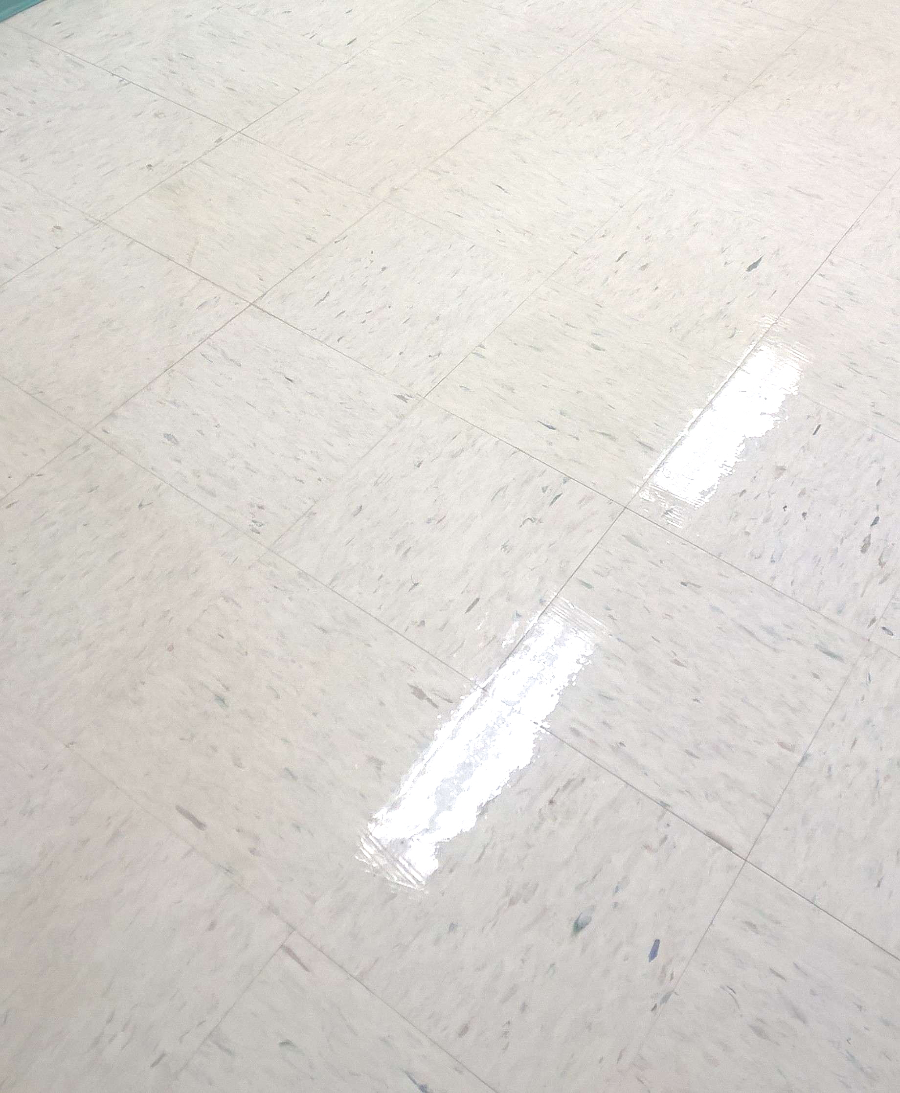 Old VCT Floor Restoration Job in Edina, MN image 4