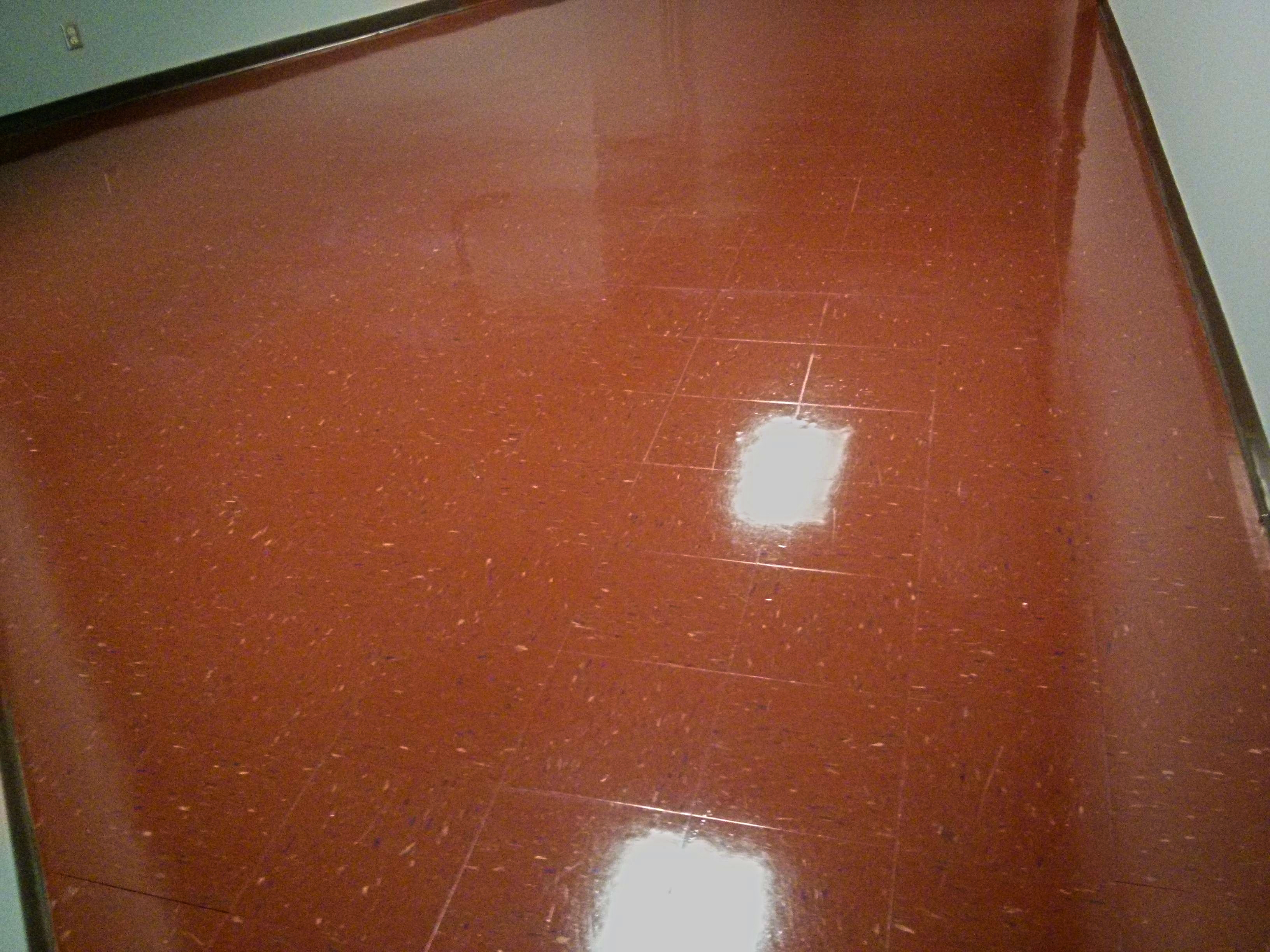 Old VCT Tile Floor in Burnsville, MN Deep Scrub and Re-Coat with Mid-Solids High Gloss Floor Finish image 1