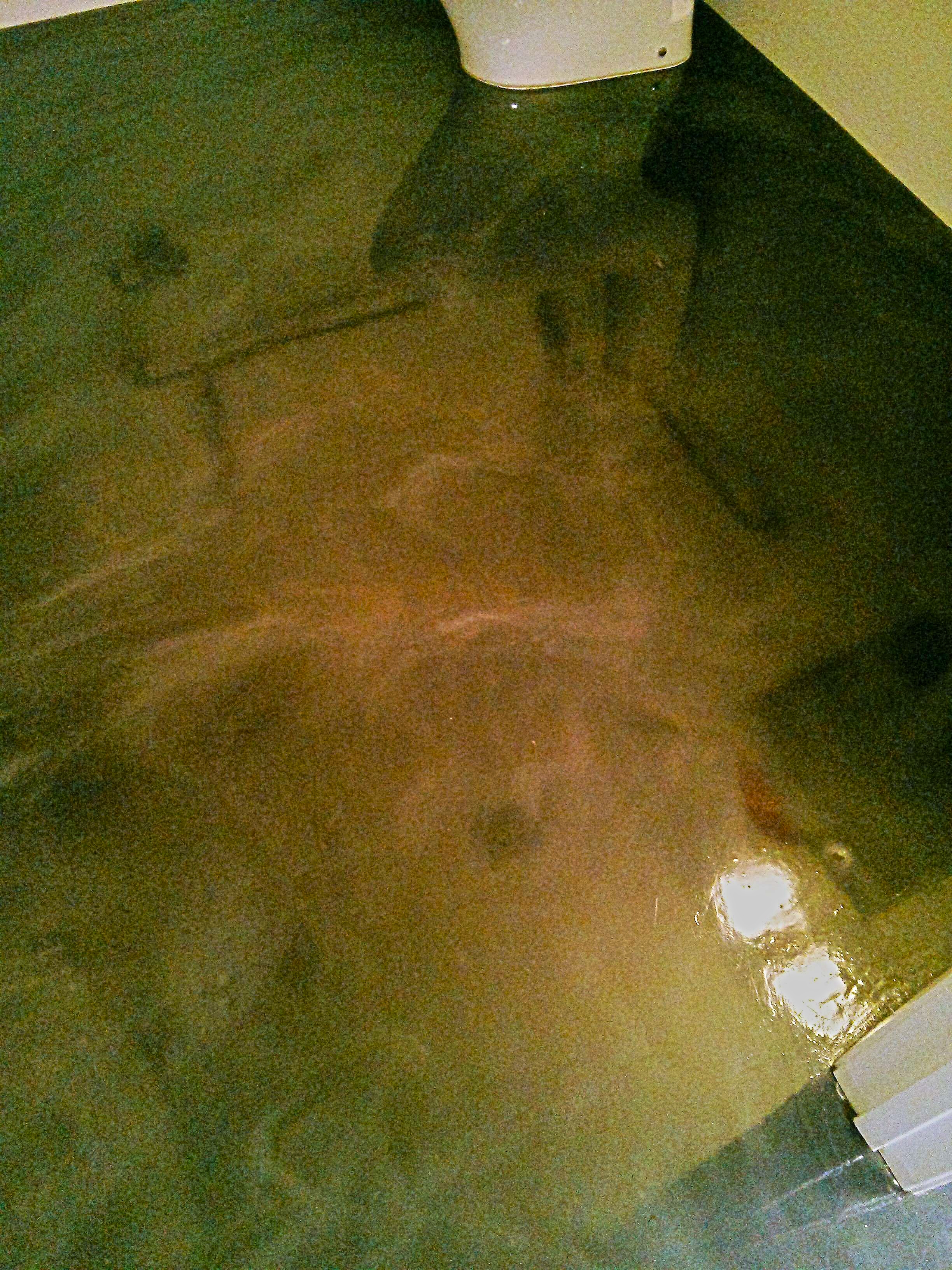 Polished Concrete Floor Gets Much Needed Scrub and ReCoat in Wayzata image 3