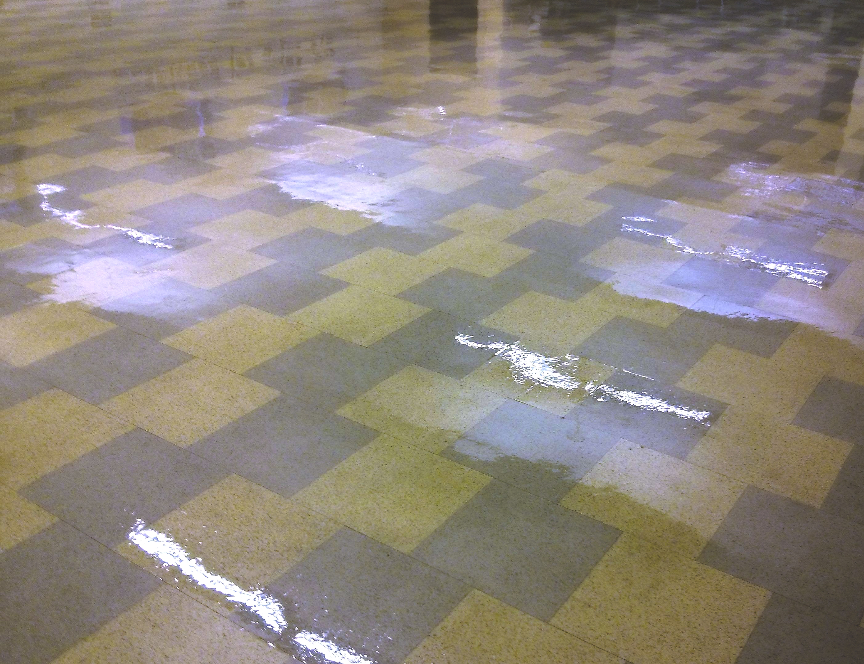 Restoration of Old VCT Floor in Minneapolis Church image 5