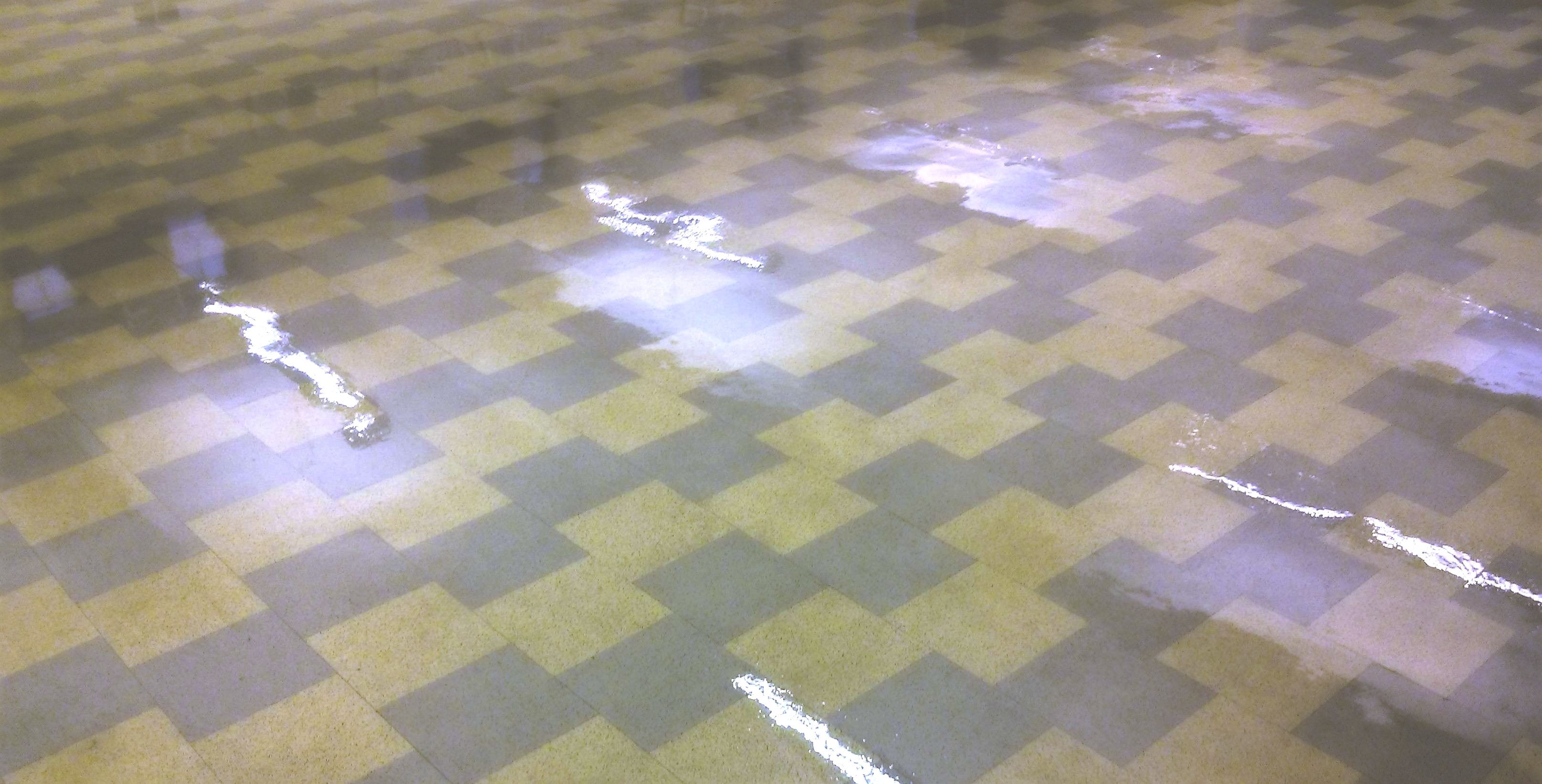 Restoration of Old VCT Floor in Minneapolis Church image 10