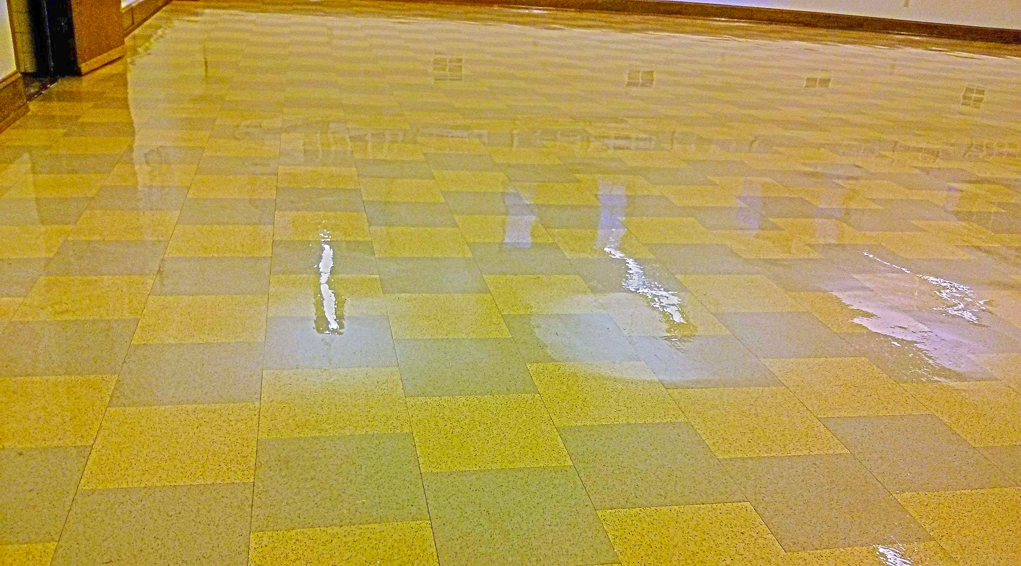 Restoration of Old VCT Floor in Minneapolis Church image 11