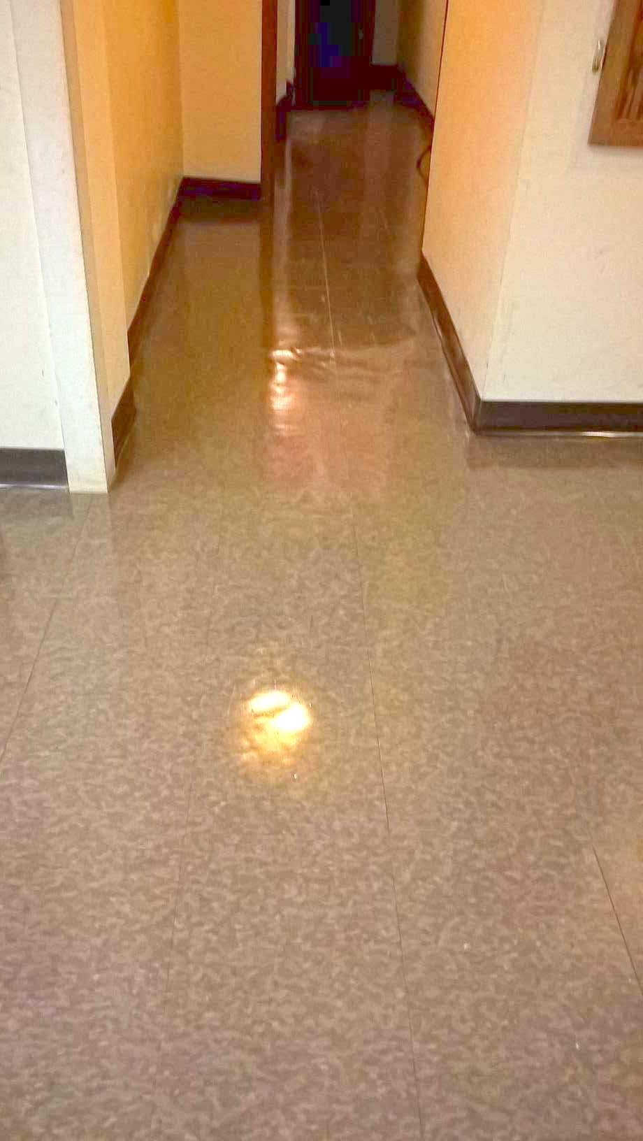 Small Area VCT Floor Scrub and Re-Coat Service in Minneapolis image 1