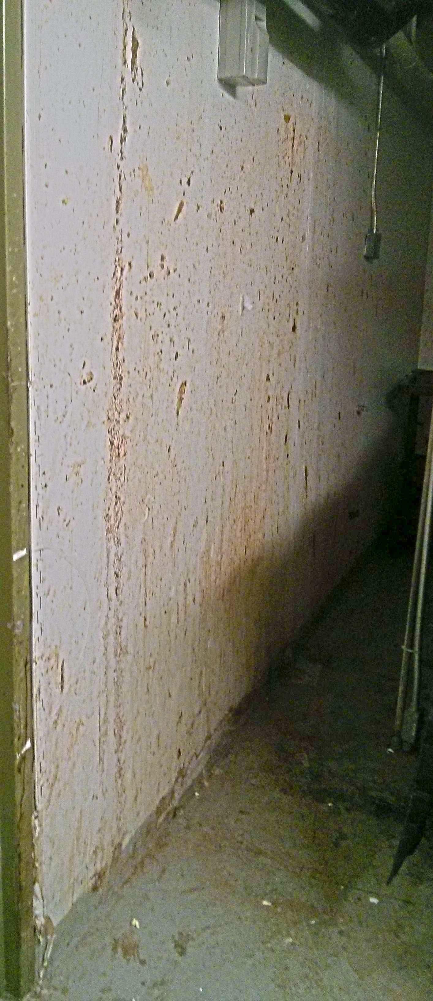 Trash Room Health Inspection in Senior Center image 2