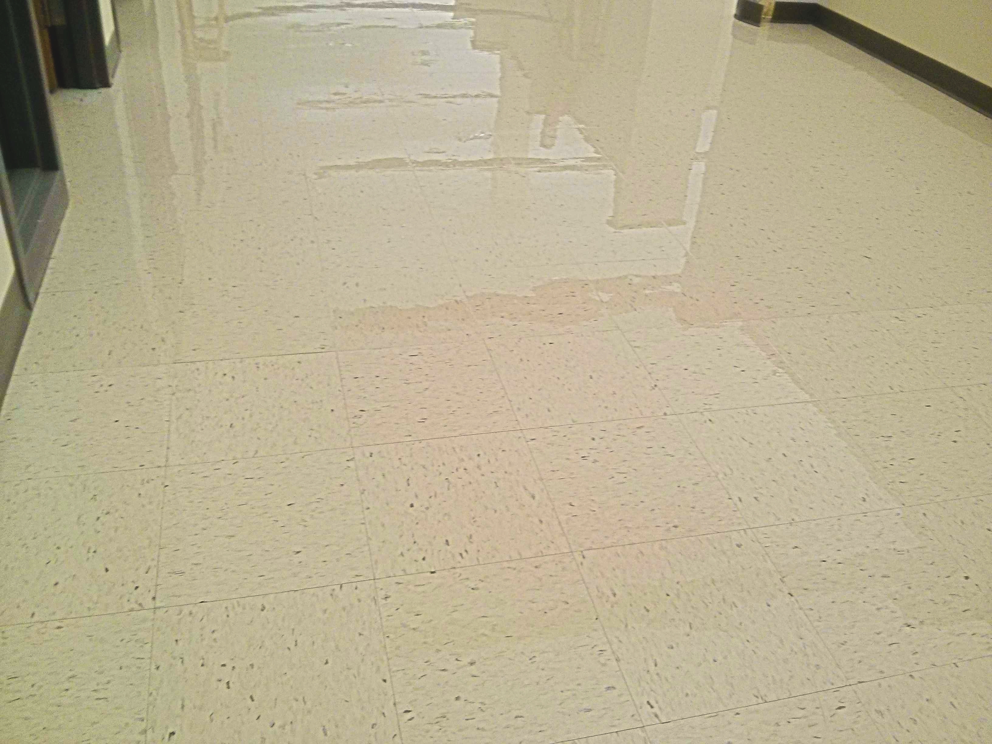 VCT Floor Coatings Services in Minneapolis Medical Manufacturing Facility image 3