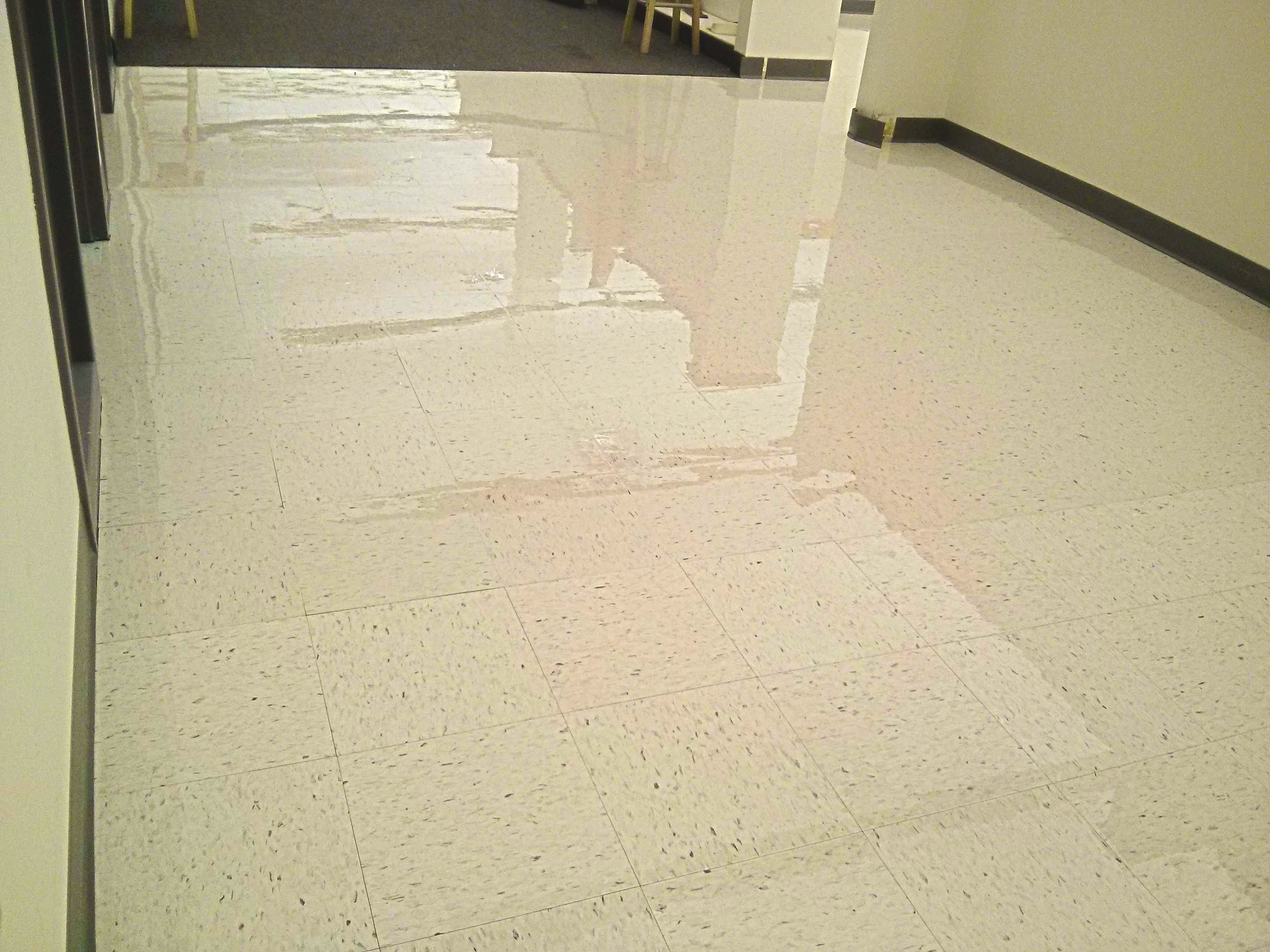 VCT Floor Coatings Services in Minneapolis Medical Manufacturing Facility image 10