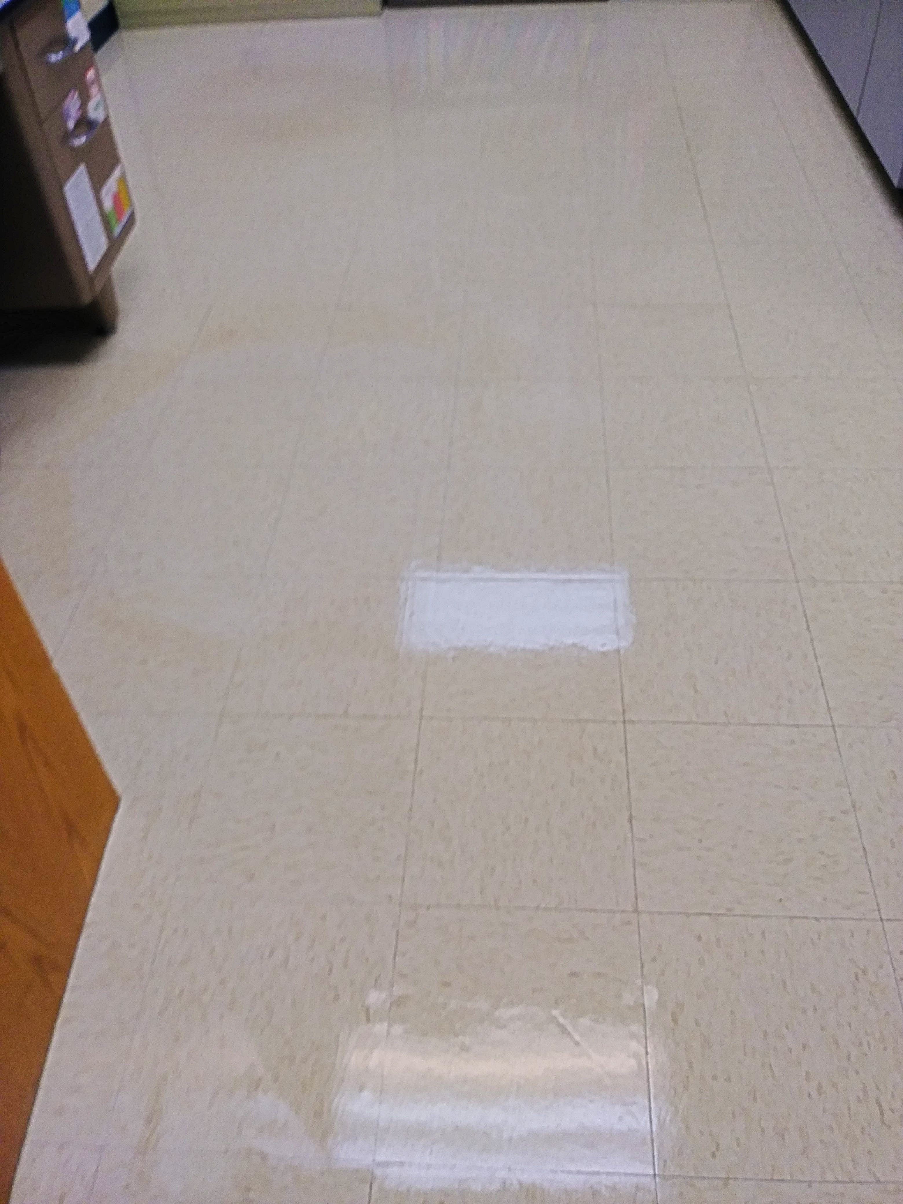 VCT Floors Clear Coating Job in Rural Hennepin County image 10