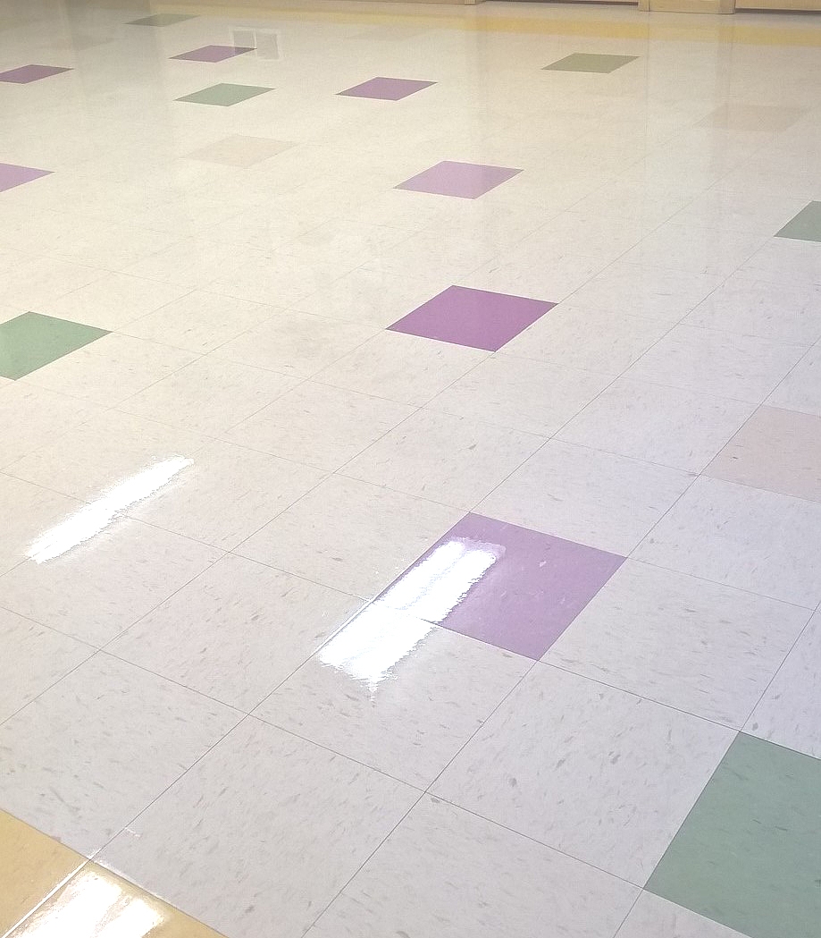 VCT Scrub and Re-Coating Services in St Paul image 4