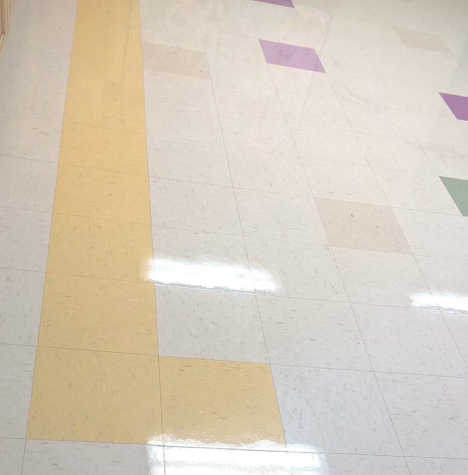 VCT Scrub and Re-Coating Services in St Paul image 5