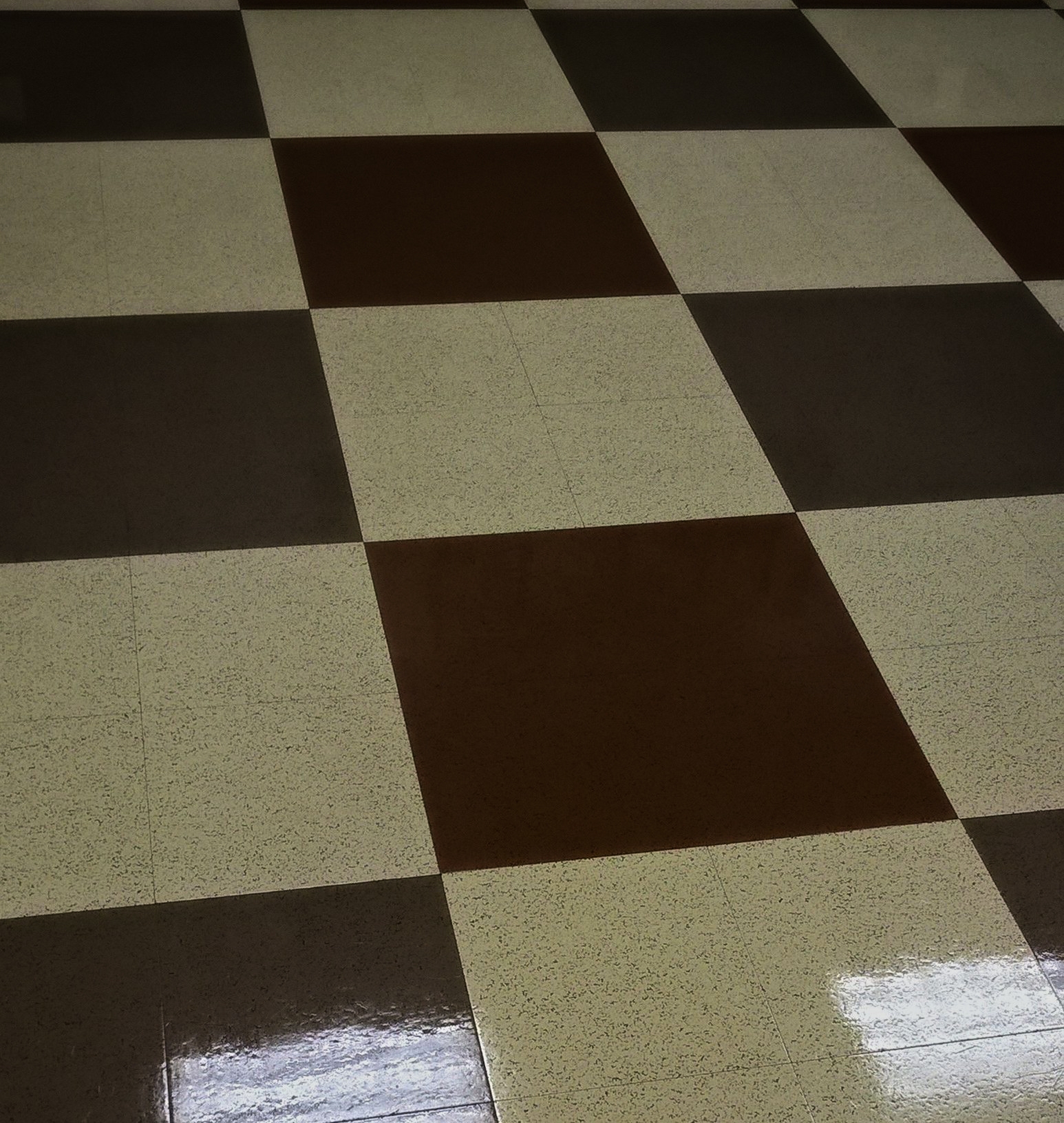 Vinyl Floor Scrub and ReCoat Service in Chanhassen MN image 3